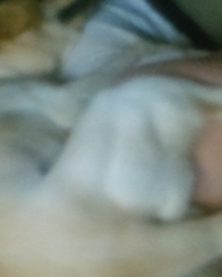 photo-thumb