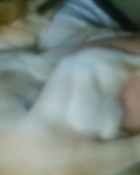 photo-thumb