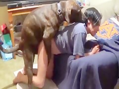 Calentando al perro