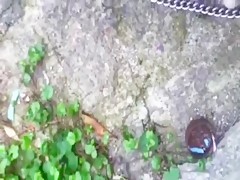 Perrocho te folla el chocho