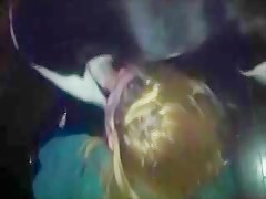 Algo Pasa En Mi Mansión