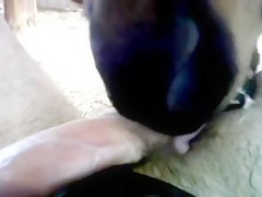 Thumb 7