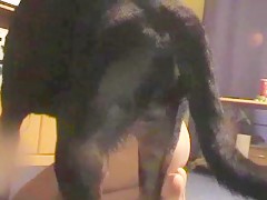 Le gusta que el perro se lo coma todo