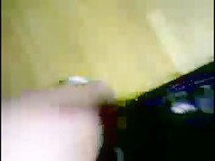 perro blanco coje fuerte a su ama