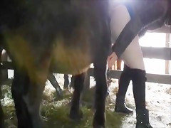 El perro se folla a mi mujer mientras la grabo