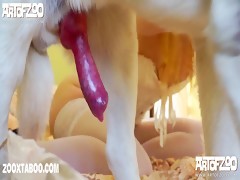 Thumb 11