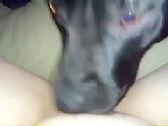 japonesita guarra se folla a un perro