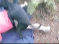 Alongamento anal horse 06