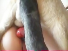 Thumb 16