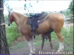 Thumb 12