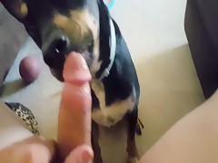 Thumb 11