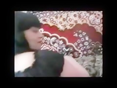 Knotty - Stud Service