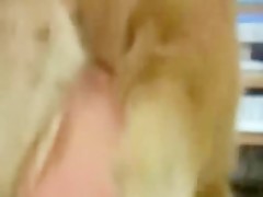 Vixen - Miss Motivated