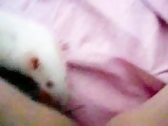 ZooSkool - Akasha - The Hard Way