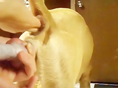 Blonde loves to suck dog cock