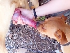 Thumb 13
