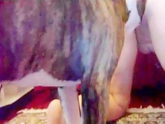 Thumb 11