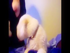 Brunette showing you her big ass on webcam