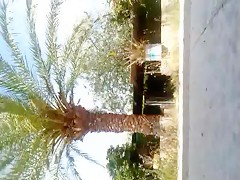 Por el Coño y Hasta el Fondo