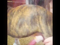 Thumb 12