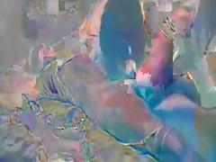 Absorbing tail of rich dog