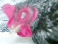 The hen and the boy