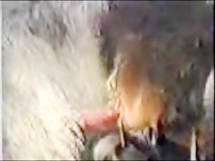 Thumb 11