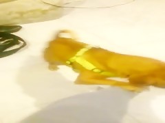 Thumb 16