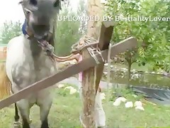 Dog weak blonde fucks - Zoofilia Videos - BestialZoo