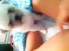 i tied my girlfrend and put my dog to lick her pussy