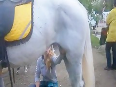 Two sluts sucking a horse