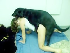 Amanda taste for first time a fuck with a dog
