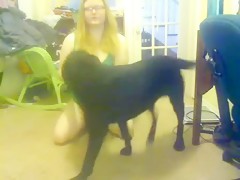 horny dog fuck sexy girl