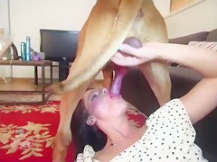 girls sucking huge dogs cock