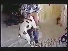 kennels cares