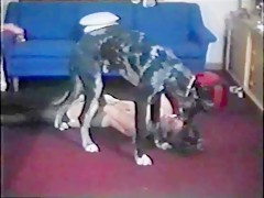 sisters plays with dog