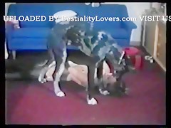 Home 2 girls fuck a dog - Zoofilia Videos - BestialZoo