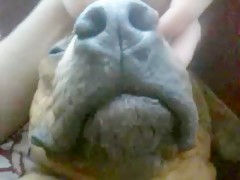 Thumb 4