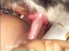 BFI Dog Fuckers 23