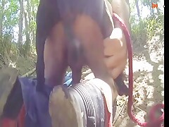 Anal en el bosque