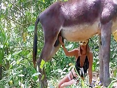 Alison with donkey - Zoofilia Videos - BestialZoo