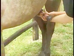 Two horny milfs strip and blow a horse