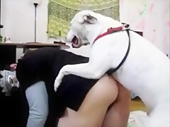 Dog Sex 2