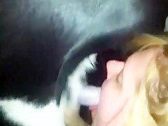 Coletânea de Zoofilia 5